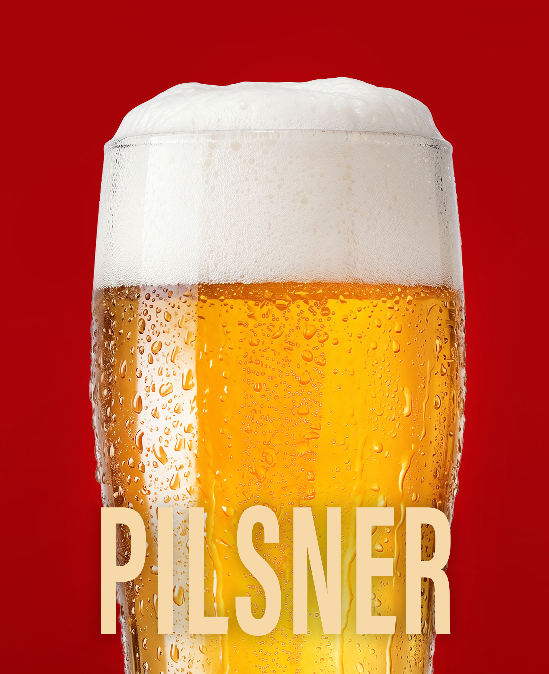 Cerveza PILSNER